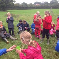 Forest School